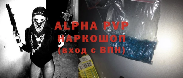 стаф Богданович