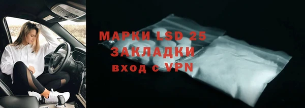 стаф Богданович
