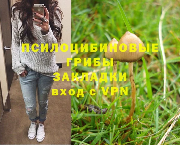 твердый Богородицк