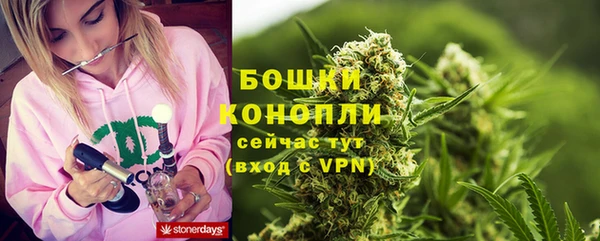 стаф Богданович