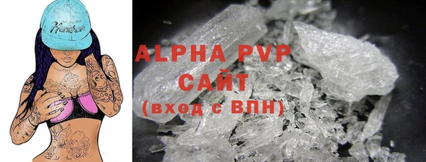 стаф Богданович