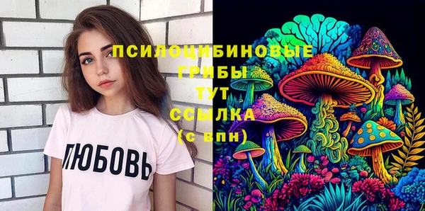 стаф Богданович