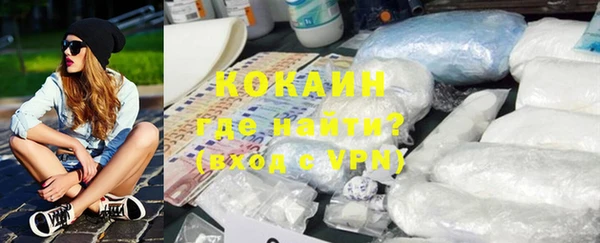 стаф Богданович