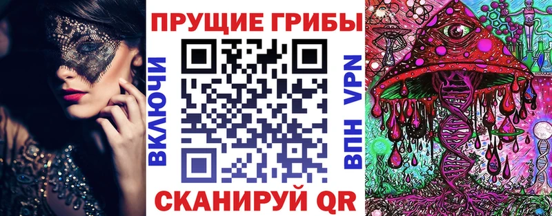 хочу наркоту  Гулькевичи  Псилоцибиновые грибы Psilocybine cubensis 